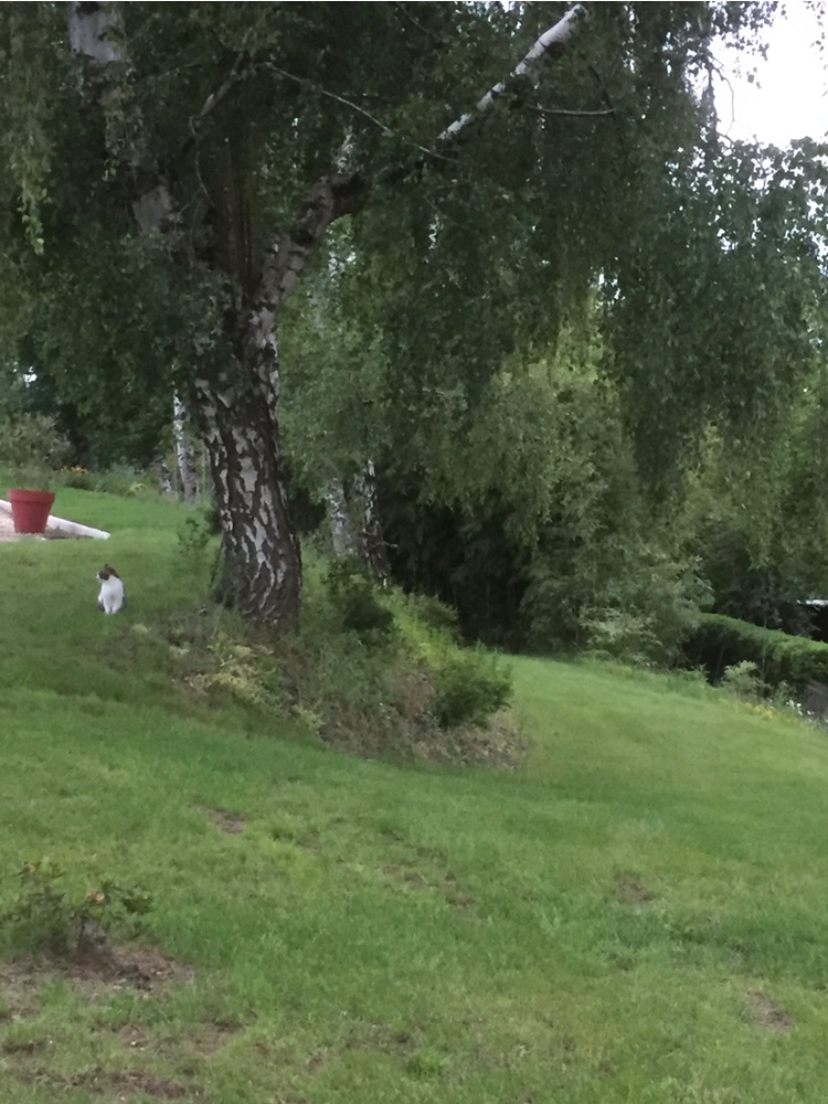 Aire camping-car  Sanvignes-les-Mines (71410) - Photo 2